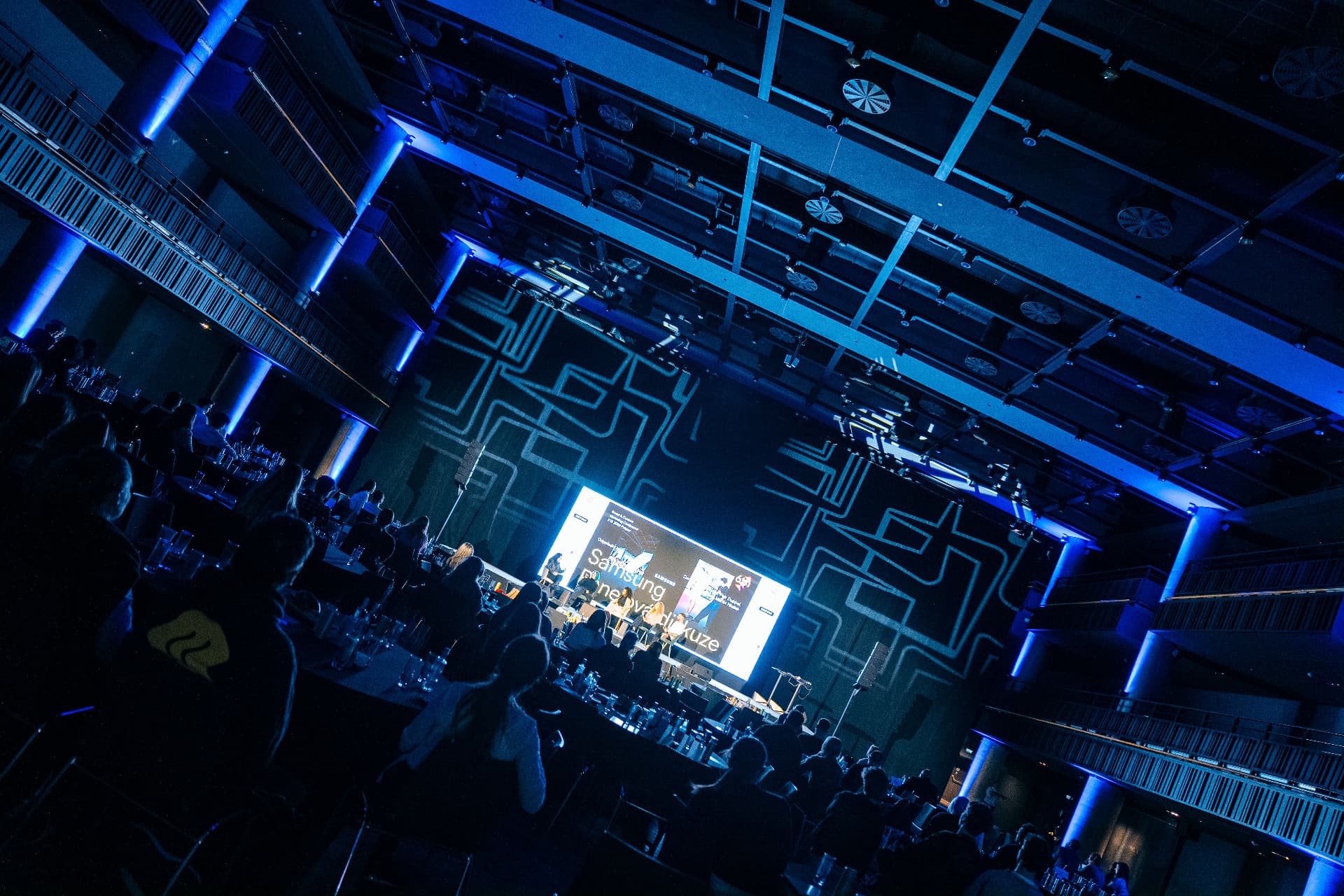 Summit audience during an evening session